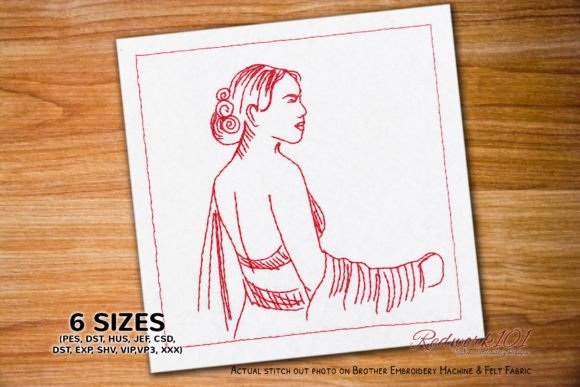 Girl in Indian Saree Embroidery Design